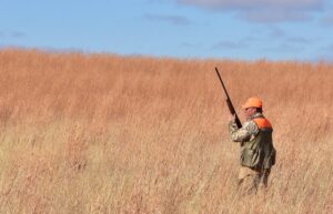 Hunter ‘Anti-Harassment’ Laws Violate Rights 2