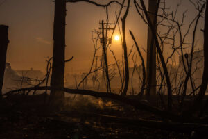 Climate Crisis Wildfires Caused 15,000 Smoke Inhalation Deaths in 15-Year Span 19