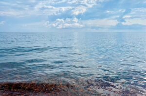 Trump Decimated the Lab Protecting Great Lakes Water Supply Millions Depend On 11
