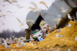 Trump’s EPA Terminates Grant That Would Have Drastically Reduced Food Waste 18