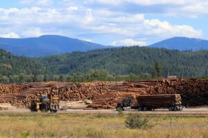 Trump’s Order to Expand Logging Threatens to Increase Climate-Fueled Wildfires 9