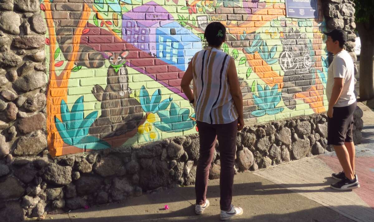Mayeli Sanchez, a Mexican digital activist and executive director of Técnicas Rudas. She preferred not to show her face.