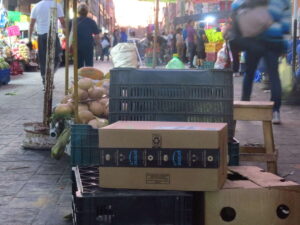 Mexican Activists Are Building Digital Defenses Against Big Tech Colonialism 6