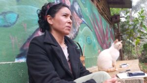 The Real Models for Sustainability in Brazil Are to Be Found Outside COP30 9